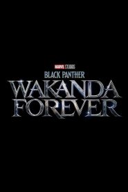 Czarna Pantera 2: Wakanda w moim sercu