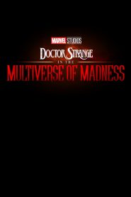 Doktor Strange w multiwersum obłędu